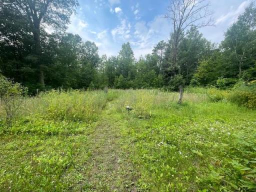 10799 Black Bear Road, Brainerd, MN 56401
