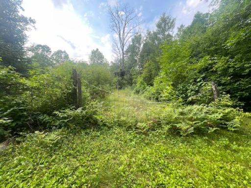 10799 Black Bear Road, Brainerd, MN 56401
