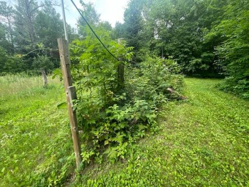 10799 Black Bear Road, Brainerd, MN 56401