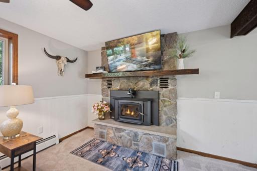 Wood burning fireplace