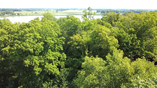 37616 390th Avenue SE, Fosston, MN 56542