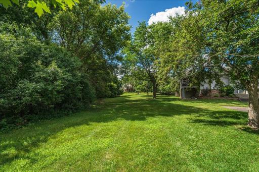 53-Backyard.jpg