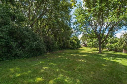 54-Backyard.jpg