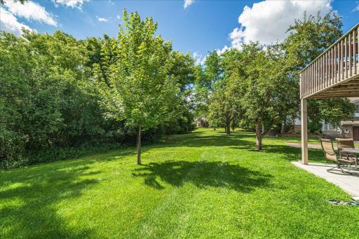 52-Backyard.jpg