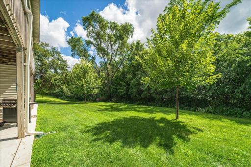 56-Backyard.jpg