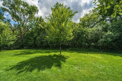 55-Backyard.jpg