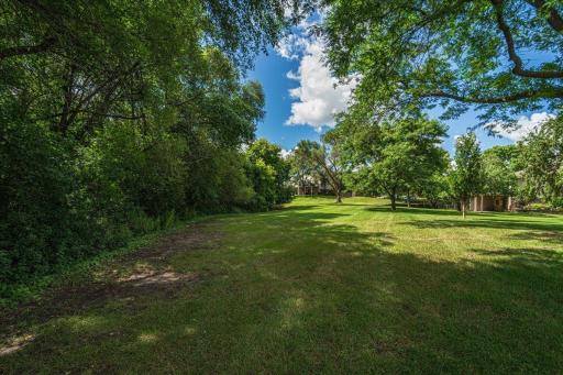 59-Backyard.jpg