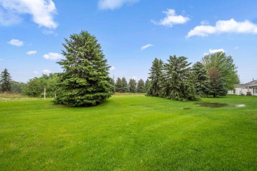 14650 Bloomfield Path, Rosemount, MN 55068