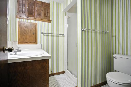 Lower Level Bath