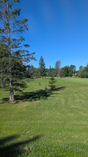 2422 County Road 106, International Falls, MN 56649
