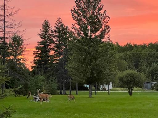 2422 County Road 106, International Falls, MN 56649