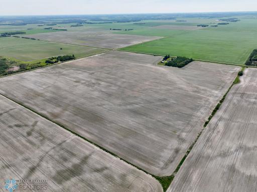 16288 220th Avenue NE, Thief River Falls, MN 56701