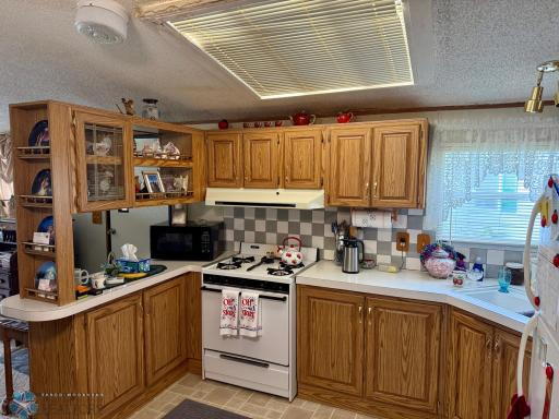 16288 220th Avenue NE, Thief River Falls, MN 56701