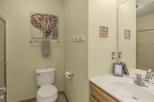10672 Ironwood Court, Woodbury, MN 55129