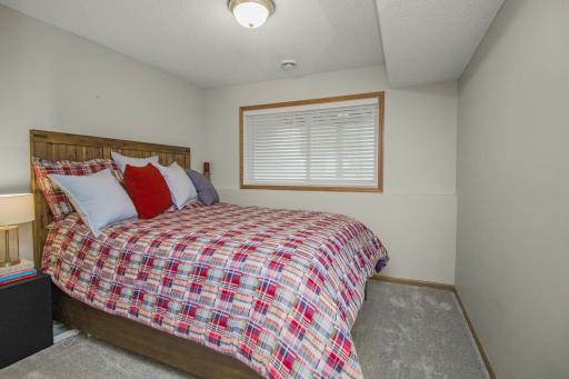 Lower level bedroom with extremely plushy carpet!