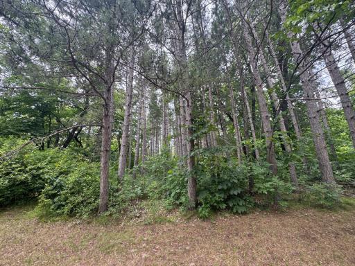 TBD E Height of Land Drive, Detroit Lakes, MN 56501