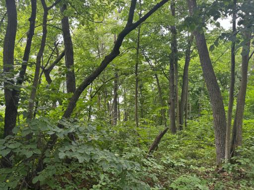 TBD E Height of Land Drive, Detroit Lakes, MN 56501