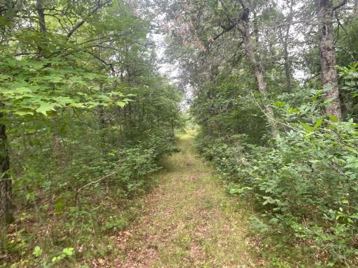 2772 300th Street, Saint Croix Falls, WI 54024