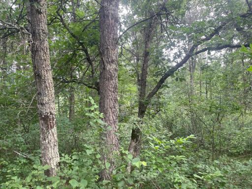 2772 300th Street, Saint Croix Falls, WI 54024