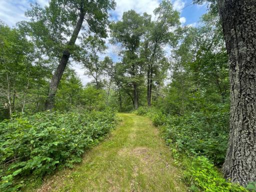 2772 300th Street, Saint Croix Falls, WI 54024