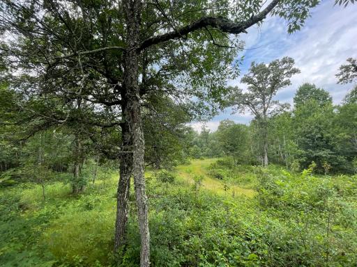 2772 300th Street, Saint Croix Falls, WI 54024