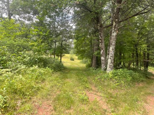 2772 300th Street, Saint Croix Falls, WI 54024