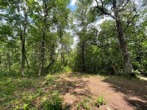 2772 300th Street, Saint Croix Falls, WI 54024