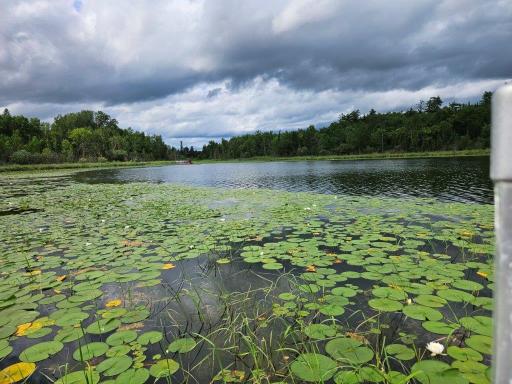 33599 Brook Trail, Bagley, MN 56621