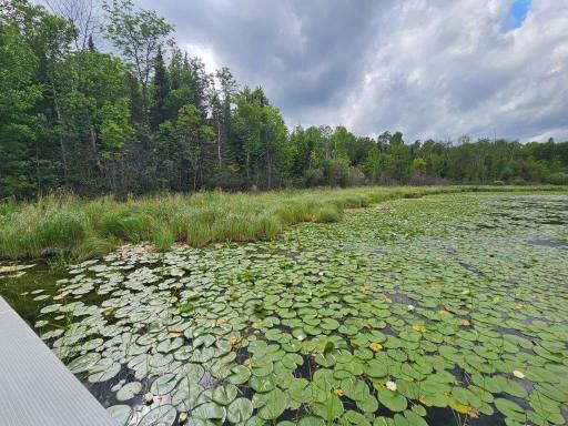 33599 Brook Trail, Bagley, MN 56621