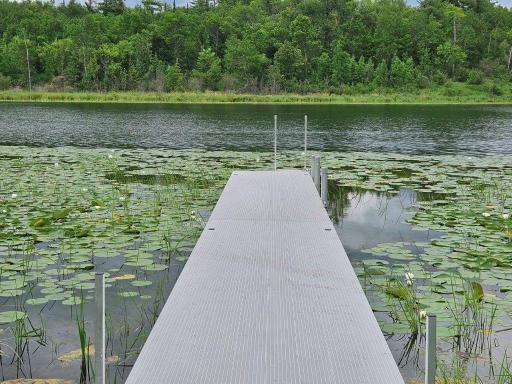 33599 Brook Trail, Bagley, MN 56621