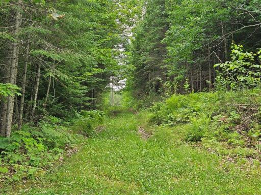 33599 Brook Trail, Bagley, MN 56621