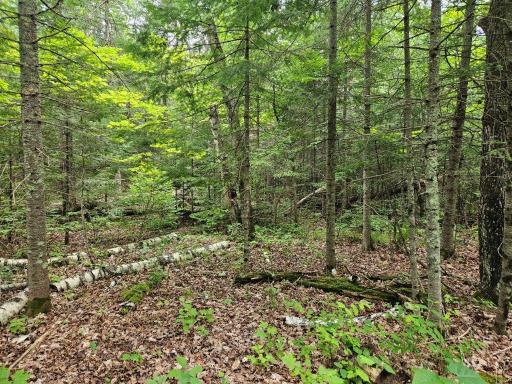 33599 Brook Trail, Bagley, MN 56621