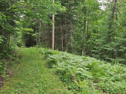 33599 Brook Trail, Bagley, MN 56621