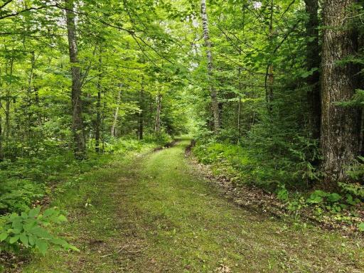 33599 Brook Trail, Bagley, MN 56621