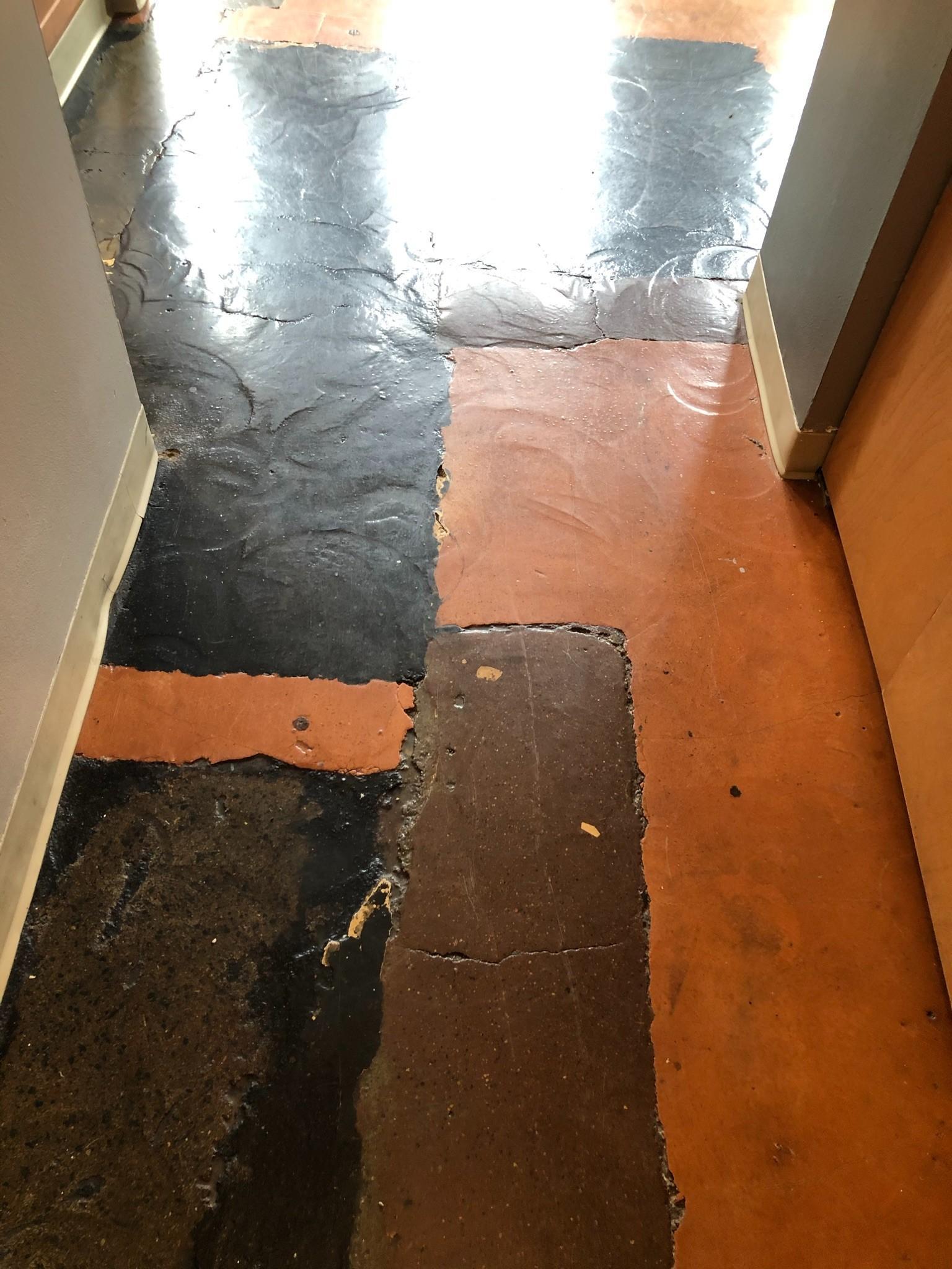 Terrazzo Floors