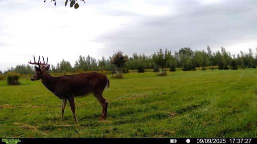 TBD County Road W, Holcombe, WI 54745