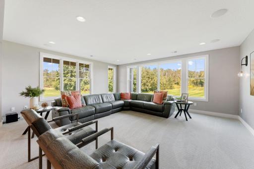 lower level family room with great views of the back yard