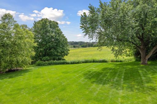 131 Primrose Lane, Medina, MN 55340