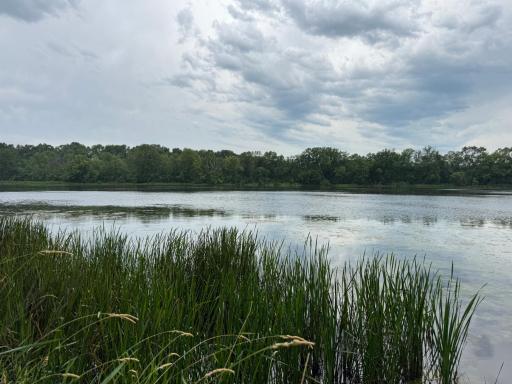 TBD Bass Lake Lane, Underwood, MN 56586