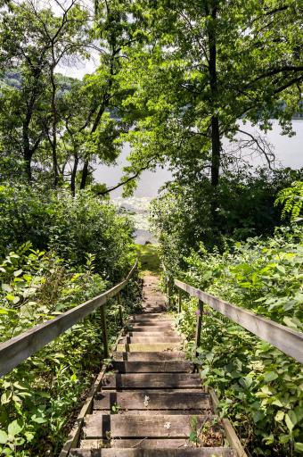 Descend this stairway to the 70 feet of lake frontage you own on Lily Lake.