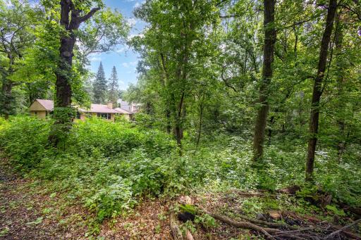 View of the house from the edge of the buildable lot.