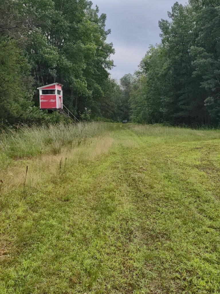 Deer Stand #2