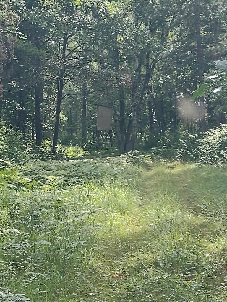 Deer Stand #6