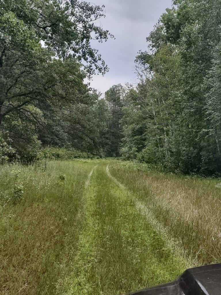 IMG_20250726_101701655_HDR.jpg