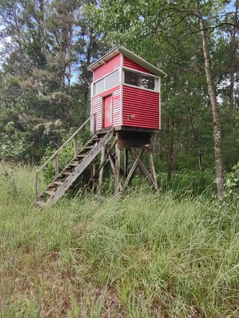 Deer Stand 2 of 6