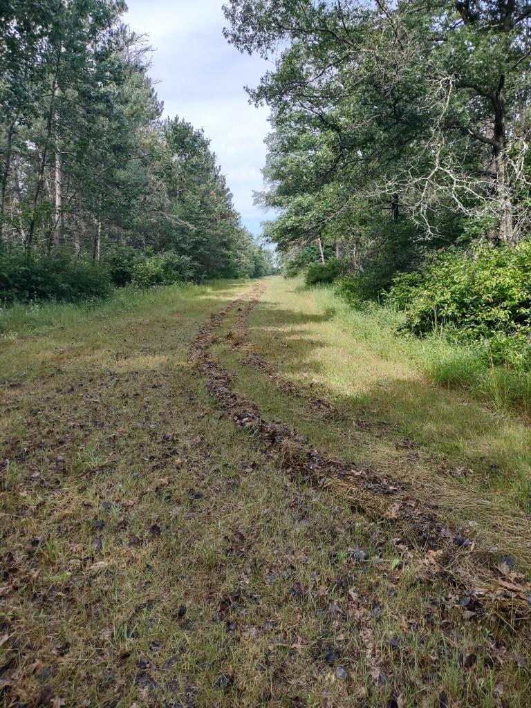 IMG_20250726_102842974_HDR.jpg