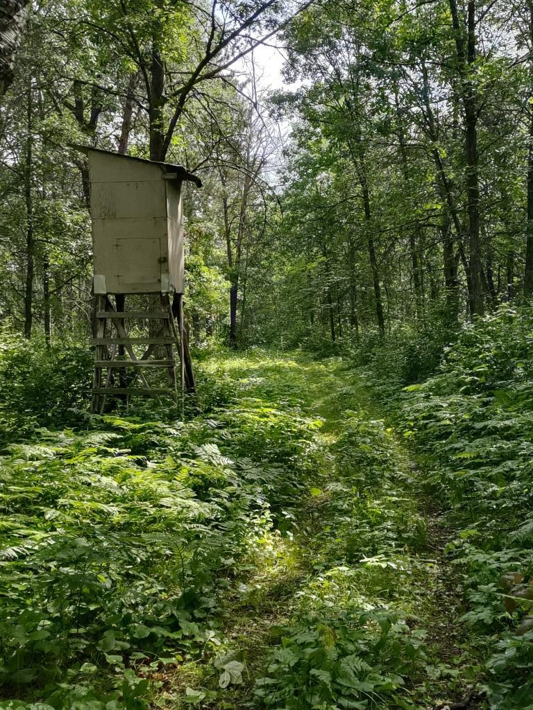 Deer Stand #6