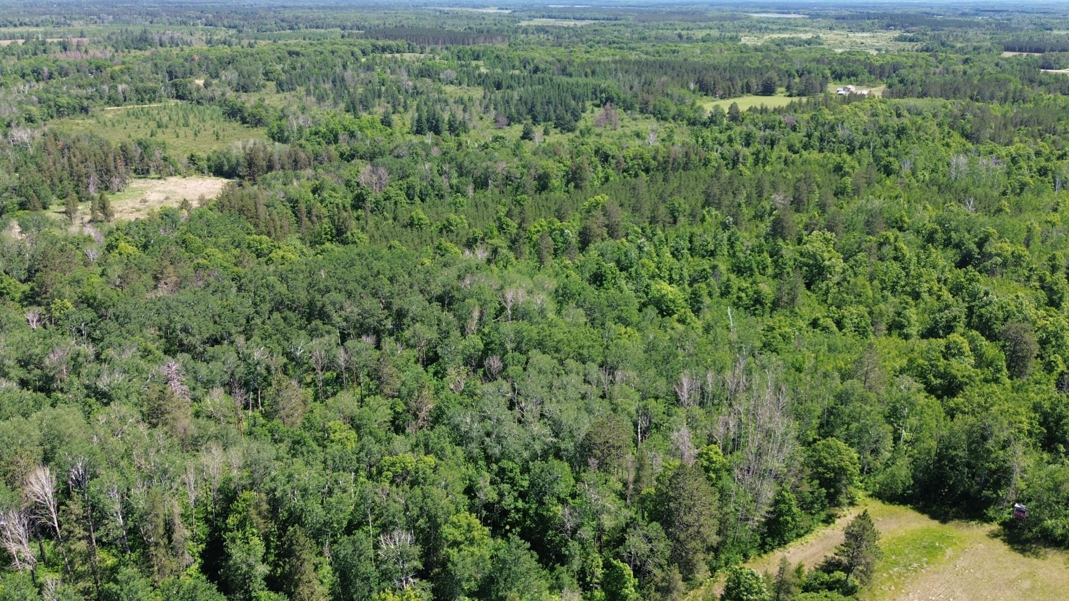 DJI_0216.JPG