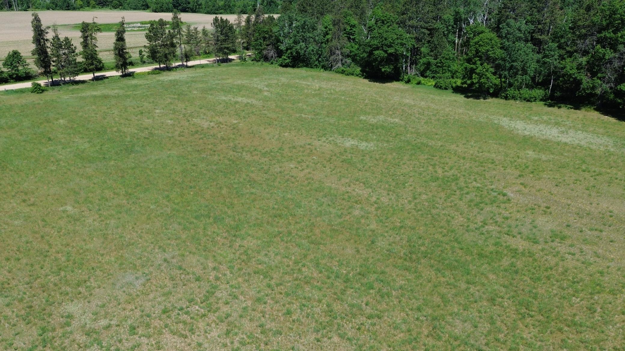 DJI_0223.JPG