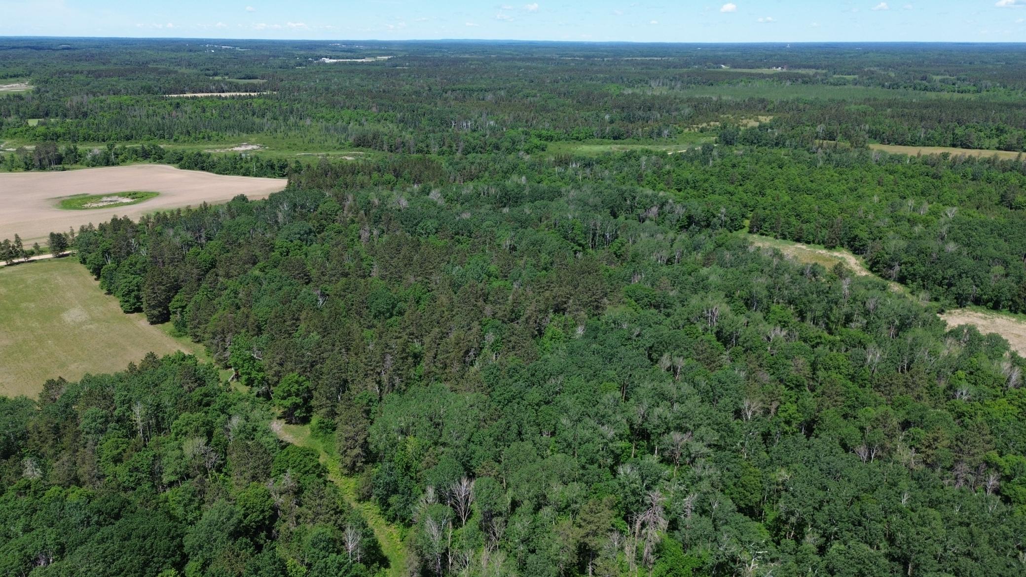 DJI_0237.JPG